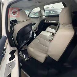 هیۆندای پالیسەید